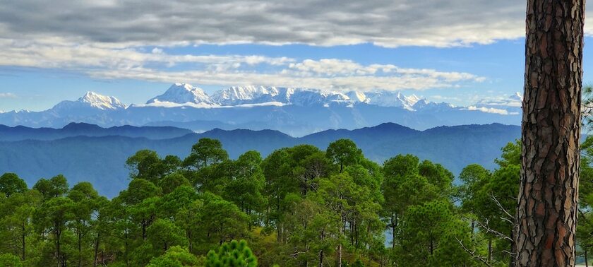 Imagen general del Hotel Majkhali Woods, Ranikhet, By Himalayan Eco Lodges. Foto 7