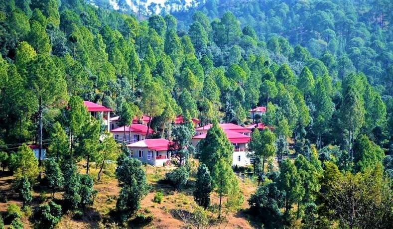 Imagen general del Hotel Majkhali Woods, Ranikhet, By Himalayan Eco Lodges. Foto 13
