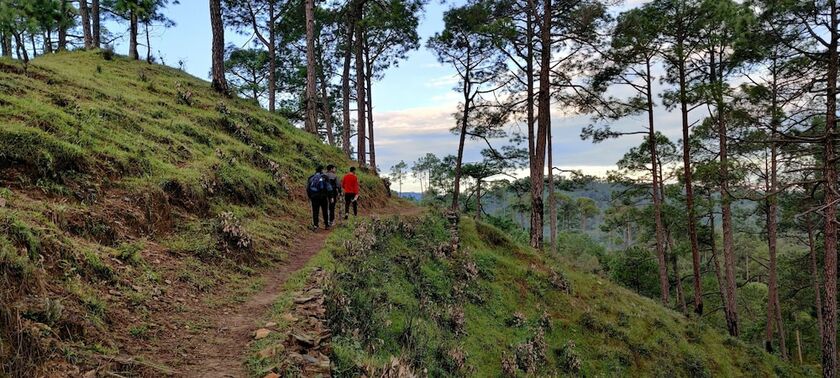 Imagen general del Hotel Majkhali Woods, Ranikhet, By Himalayan Eco Lodges. Foto 17
