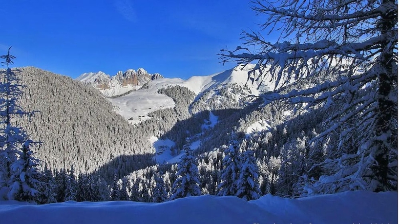 Imagen de los exteriores del Hotel Majon De Sabin. Foto 12