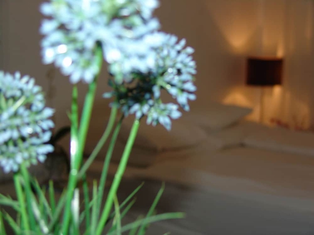Imagen de la habitación del Hotel Maksimir. Foto 13