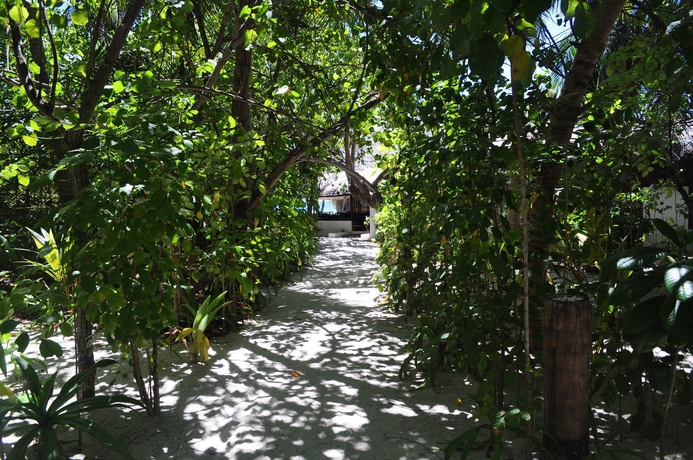 Imagen de los exteriores del Hotel Makunudu Island. Foto 12