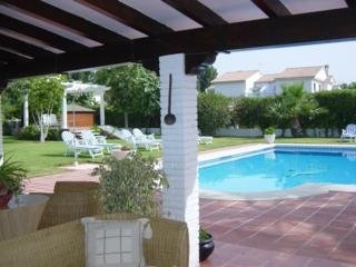 Imagen de la piscina del Hotel Malaga Picasso. Foto 15