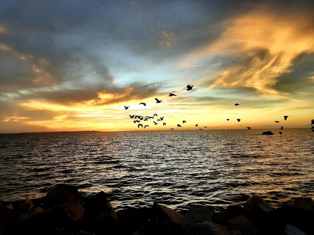 Imagen de la habitación del Hotel Malaika Beach Resort. Foto 12