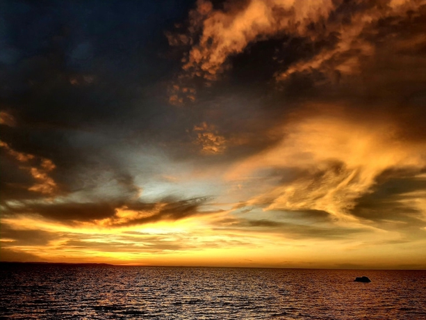 Imagen de la habitación del Hotel Malaika Beach Resort. Foto 13