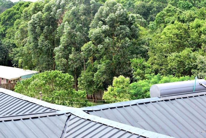 Imagen de la habitación del Hotel Malava Forest Lodge. Foto 19