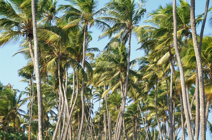 Imagen de los exteriores del Hotel Malibu Plaza. Foto 13