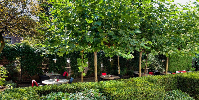 Imagen de los exteriores del Hotel Malie Utrecht. Foto 6