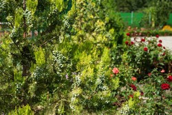 Imagen general del Hotel Malinka Guest House. Foto 3