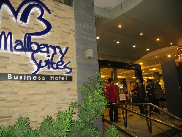 Imagen general del Hotel Mallberry Suites Business. Foto 3