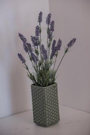 Imagen de la habitación del Hotel Malucri Resort. Foto 7