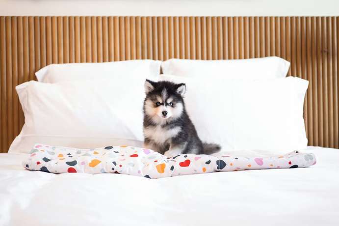 Imagen general del Hotel Mama Shelter Singapore. Foto 2