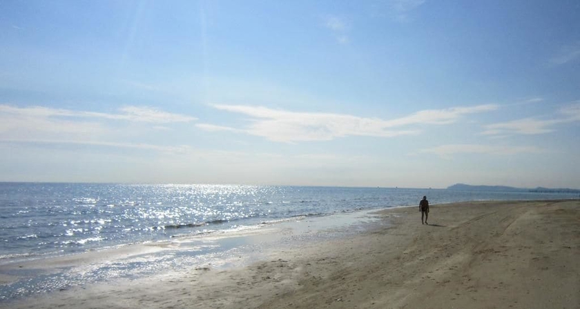 Imagen de los exteriores del Hotel Mamy. Foto 16