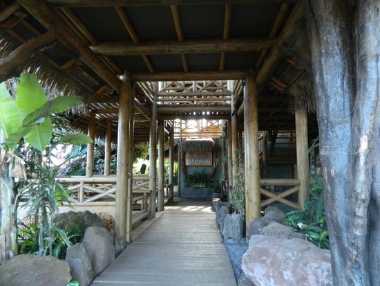 Imagen de los interiores del Hotel Manavai. Foto 8