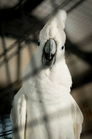 Imagen general del Hotel MandV Resort. Foto 4