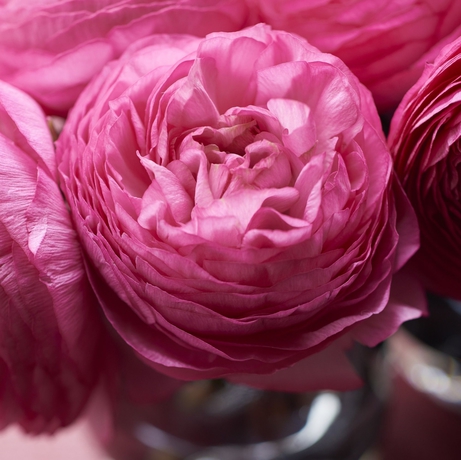 Imagen de la habitación del Hotel Mandarin Oriental, Geneva. Foto 14