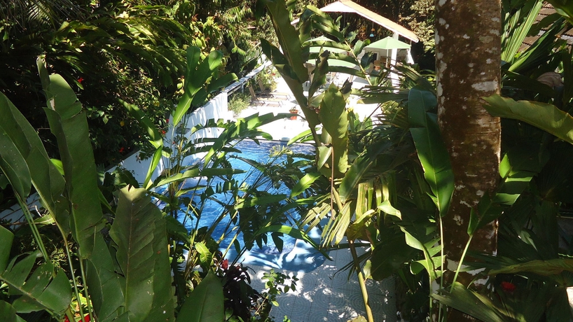 Imagen de la piscina del Hotel Mandarina. Foto 14