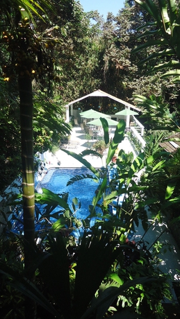 Imagen de la piscina del Hotel Mandarina. Foto 16