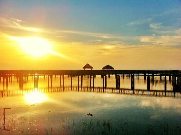 Imagen general del Hotel Maneemudjalin Resorts Farm Stay. Foto 4