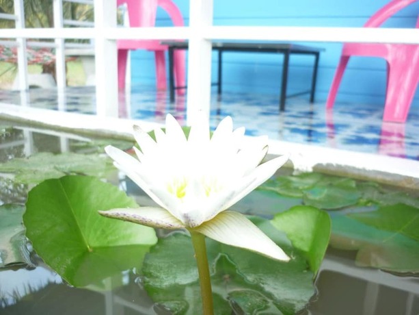 Imagen general del Hotel Maneemudjalin Resorts Farm Stay. Foto 6