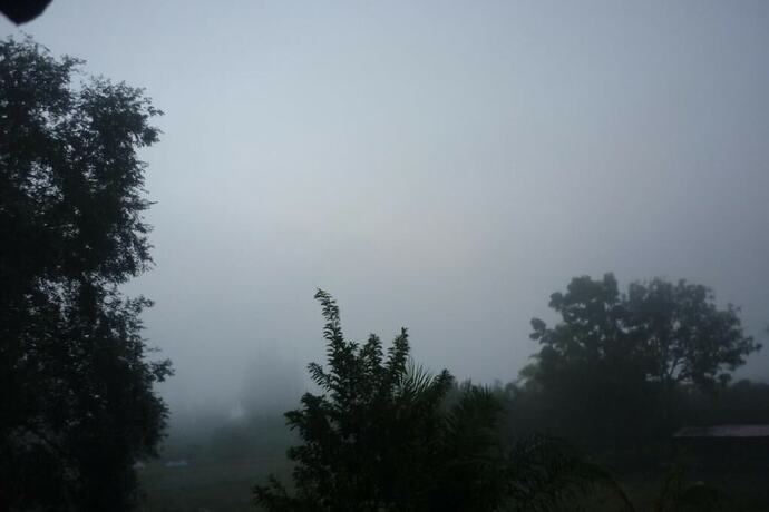 Imagen general del Hotel Maneemudjalin Resorts Farm Stay. Foto 7