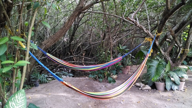 Imagen general del Hotel Manglar Pacific. Foto 2