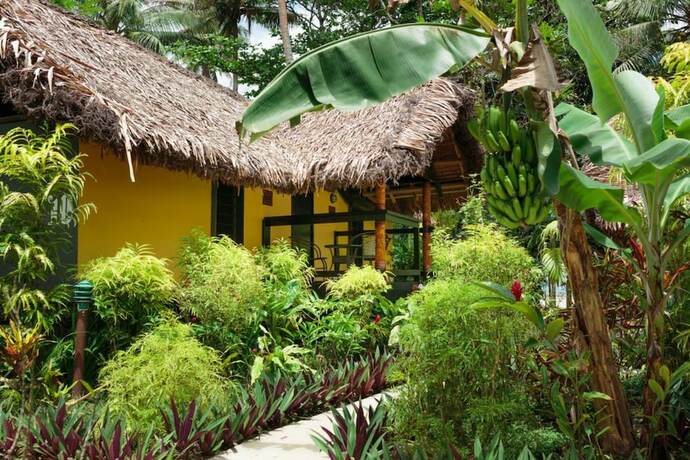 Imagen general del Hotel Mango Bay Resort - Cfc Certified. Foto 6