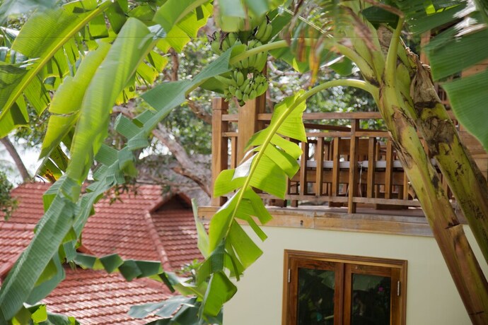 Imagen de la habitación del Hotel Mango Beach Resort. Foto 26