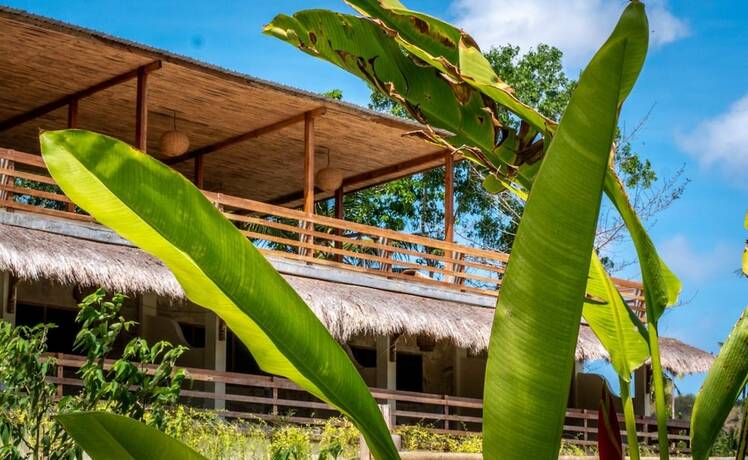Imagen general del Hotel Mango Lodge. Foto 14