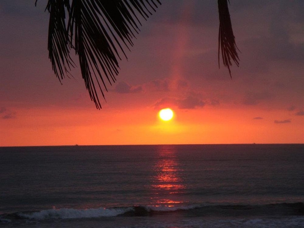 Imagen general del Hotel Mango Mar. Foto 2