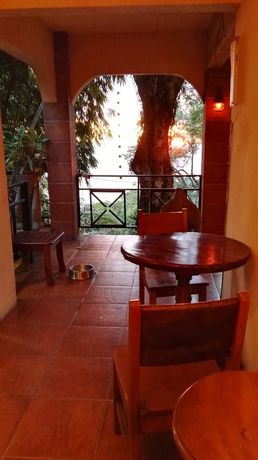 Imagen de la habitación del Hotel Mango Moon Villa. Foto 12