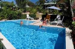Imagen de la piscina del Hotel Mangoes Resort. Foto 6