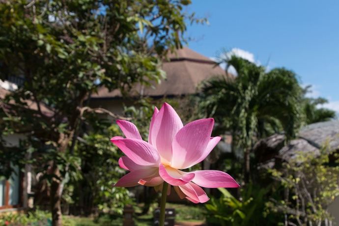 Imagen de los exteriores del Hotel Mangosteen Ayurveda and Wellness Resort. Foto 13