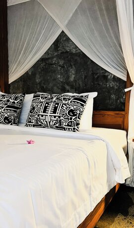 Imagen general del Hotel Mangroove Bay Boutique Hostel. Foto 3