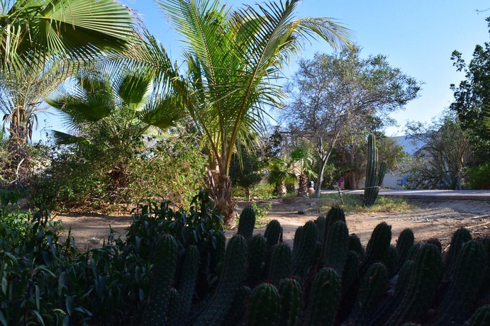 Imagen de los exteriores del Hotel Mangrove Bay Resort. Foto 12