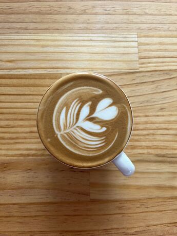 Imagen general del Hotel Manha Auckland Airport. Foto 2