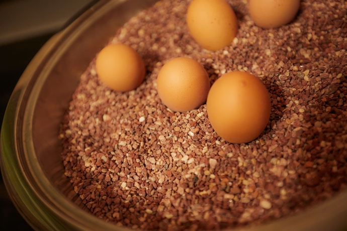 Imagen de los interiores del Hotel Manhattan. Foto 15