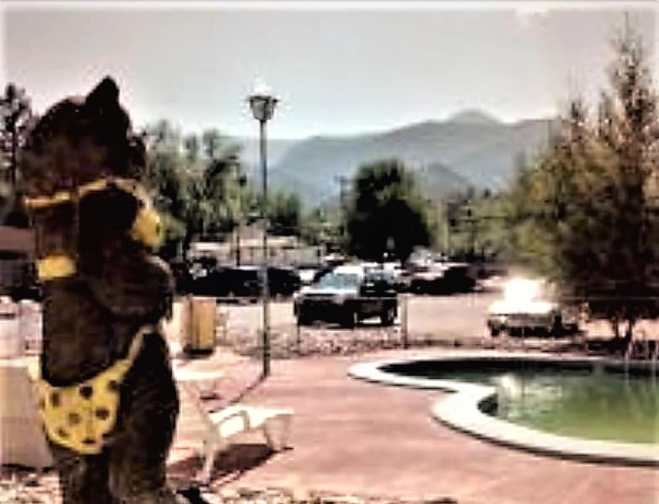 Imagen de la habitación del Hotel Manitou Cog Lodge Inc dba Manitou Inn. Foto 10