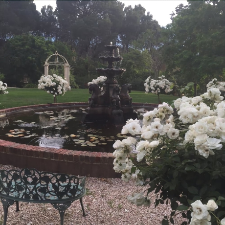 Imagen de los exteriores del Hotel Manor Estate. Foto 17