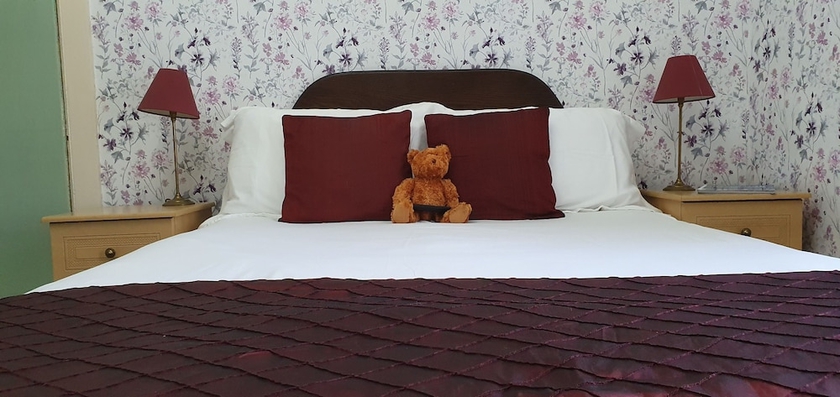 Imagen general del Hotel Mansefield House. Foto 11