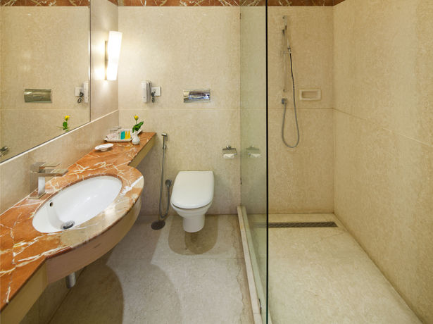 Imagen de la habitación del Hotel Mansingh. Foto 11