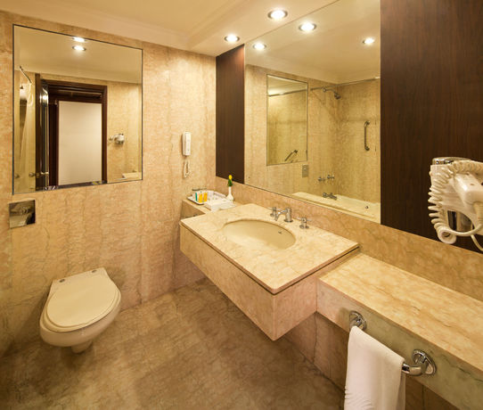 Imagen de la habitación del Hotel Mansingh. Foto 18