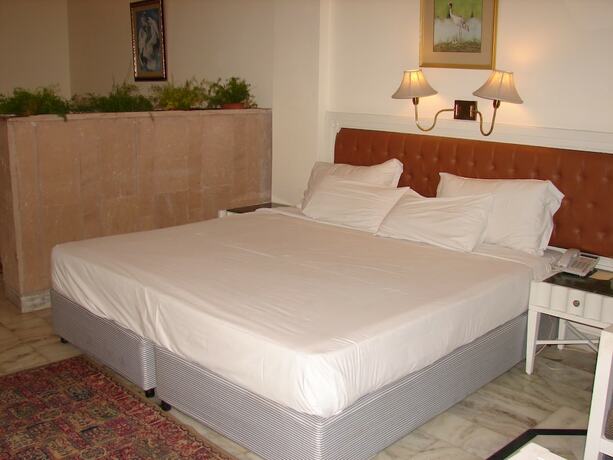 Imagen general del Hotel Mansingh Palace Ajmer. Foto 11