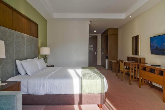 Imagen de la habitación del Hotel Mansion Garden Hotel. Foto 1