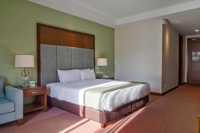 Imagen de la habitación del Hotel Mansion Garden Hotel. Foto 2
