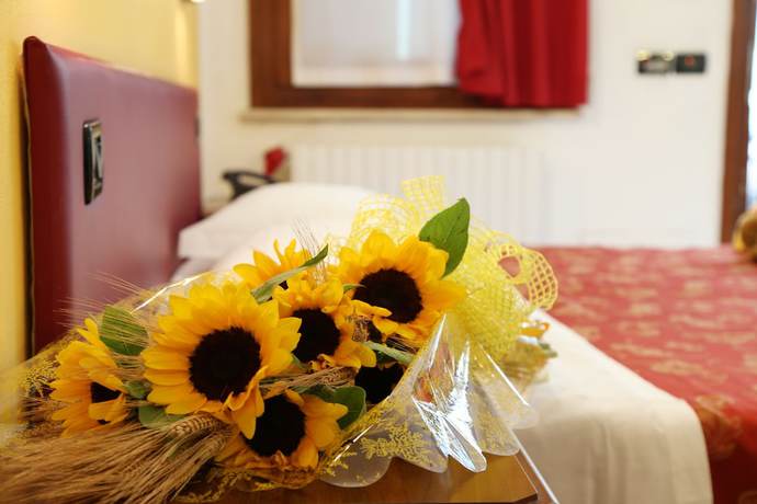 Imagen de la habitación del Hotel Mantegna Stazione. Foto 16