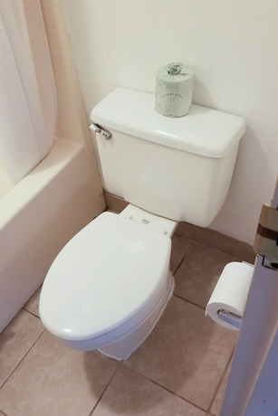 Imagen de la habitación del Hotel Manteo, Trademark Collection by Wyndham. Foto 10