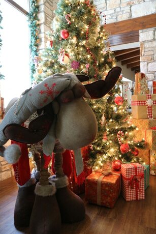 Imagen general del Hotel Manthos Mountain Resort and Spa. Foto 10