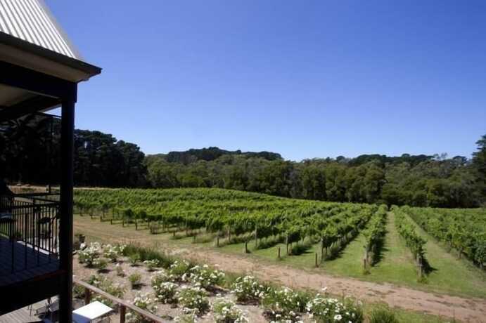 Imagen general del Hotel Mantons Creek Estate and Lodge. Foto 17