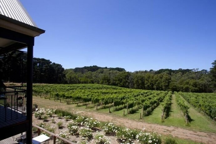 Imagen de los exteriores del Hotel Mantons Creek Estate and Lodge. Foto 25